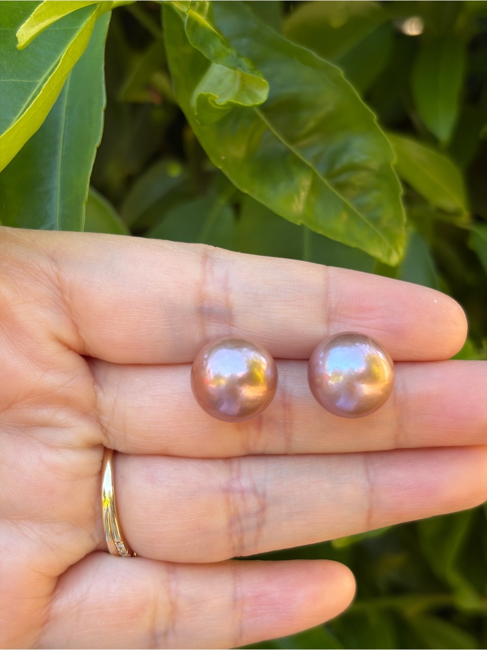 Classic Edison Pearl Stud Earrings - 13mm